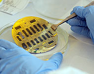 ECE Lab photo