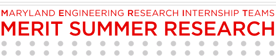 The MERIT Summer Research Program